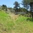  Land for sale in Tarqui, Cuenca, Tarqui