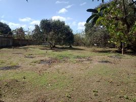  Land for sale in Cavite, Calabarzon, Indang, Cavite