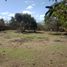  Land for sale in Indang, Calabarzon, Indang