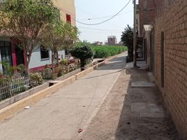  Terreno (Parcela) en venta en Lima, Carabayllo, Lima, Lima