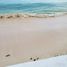 3 Bedroom House for sale in Puerto Morelos Quintana Roo, Puerto Morelos