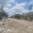  Terreno (Parcela) en venta en Progreso, Yucatán, Progreso