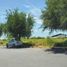  Land for sale in Reynosa, Tamaulipas, Reynosa