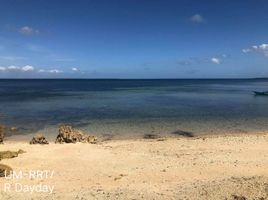  토지을(를) San Remigio, 세부에서 판매합니다., San Remigio
