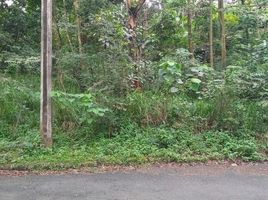 Terrain à vendre à Antipolo City, Calabarzon, Antipolo City, Rizal