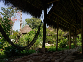 15 Habitación Casa en venta en Napo, Puerto Misahualli, Tena, Napo