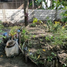  Terreno (Parcela) en venta en Bulacan, Central Luzon, Bulacan, Bulacan, Central Luzon
