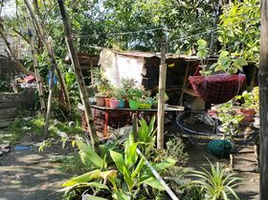  Terreno (Parcela) en venta en Bulacan, Central Luzon, Bulacan, Bulacan, Central Luzon