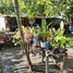  Terreno (Parcela) en venta en Bulacan, Central Luzon, Bulacan, Bulacan, Central Luzon