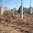  Land for sale in Emiliano Zapata, Veracruz, Emiliano Zapata