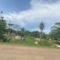  Land for sale in Bukidnon, Northern Mindanao, Libona, Bukidnon