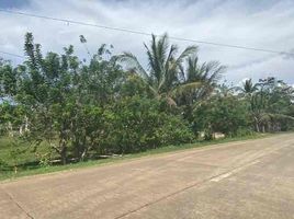  Land for sale in Bukidnon, Northern Mindanao, Libona, Bukidnon