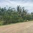  Land for sale in Libona, Northern Mindanao, Libona