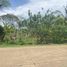  Land for sale in Bukidnon, Northern Mindanao, Libona, Bukidnon