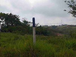  Land for sale in Santander, Floridablanca, Santander