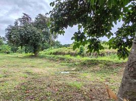  Land for sale in Pililla, Rizal, Pililla