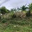  Land for sale in Pililla, Rizal, Pililla