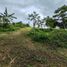  Land for sale in Pililla, Rizal, Pililla