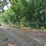  Land for sale in Puerto Princesa City, Mimaropa, Puerto Princesa City, Palawan, Mimaropa