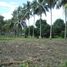  Land for sale in Bacong, Negros Oriental, Bacong