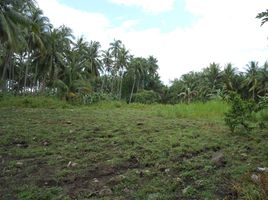  Terrain for sale in Bacong, Negros Oriental, Bacong