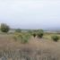  Land for sale in Maule, Pencahue, Talca, Maule