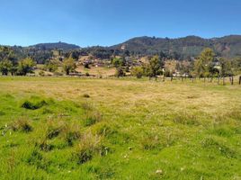  Land for sale in Paipa, Boyaca, Paipa