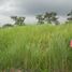  Terreno (Parcela) en venta en Laurel, Calabarzon, Laurel