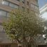 1 Bedroom Apartment for sale in Chile, Vina Del Mar, Valparaiso, Valparaiso, Chile