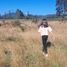  Terreno (Parcela) en venta en Chile, Villarrica, Cautín, Araucanía, Chile