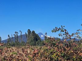  Terreno (Parcela) en venta en Chile, Villarrica, Cautín, Araucanía, Chile