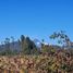  Land for sale in Villarrica, Araucania, Villarrica, Cautin, Araucania
