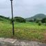 Terrain à vendre à Calamba City, Calabarzon, Calamba City