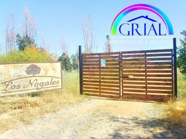  Terreno (Parcela) en venta en Cardenal Caro, Libertador General Bernardo O'Higgins, La Estrella, Cardenal Caro
