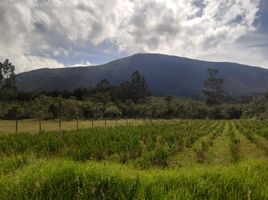  Land for sale in Villa De Leyva, Boyaca, Villa De Leyva