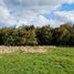  Land for sale in Chile, Puerto Varas, Llanquihue, Los Lagos, Chile