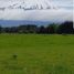  Land for sale in Chile, Puerto Varas, Llanquihue, Los Lagos, Chile