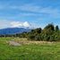  Land for sale in Chile, Puerto Varas, Llanquihue, Los Lagos, Chile