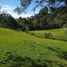 Terrain à vendre à Rionegro, Antioquia, Rionegro
