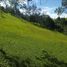 Terrain à vendre à Rionegro, Antioquia, Rionegro