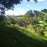 Terrain à vendre à Rionegro, Antioquia, Rionegro