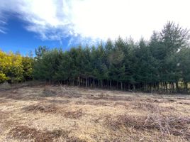  Terreno (Parcela) en venta en Chile, Loncoche, Cautín, Araucanía, Chile