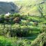  Land for sale in Zapopan, Jalisco, Zapopan, Jalisco