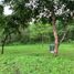  Land for sale in Morong, Central Luzon, Morong