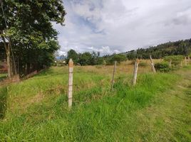  Land for sale in Paipa, Boyaca, Paipa