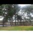  Terreno (Parcela) en venta en Tumbaco, Pichincha, Tumbaco