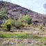  Terreno (Parcela) en venta en Chile, Panquehue, San Felipe de Aconcagua, Valparaíso, Chile