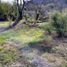  Terreno (Parcela) en venta en Chile, Panquehue, San Felipe de Aconcagua, Valparaíso, Chile