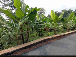  Land for sale in Bojong, Purwakarta, Bojong