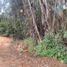  Land for sale in Chile, Casa Blanca, Valparaiso, Valparaiso, Chile